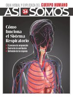 Así Somos - El cuerpo humano